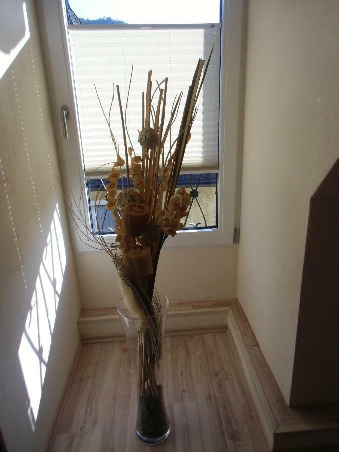 Mosel Apartment
